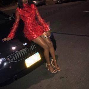 Short Sequence/fur Dress